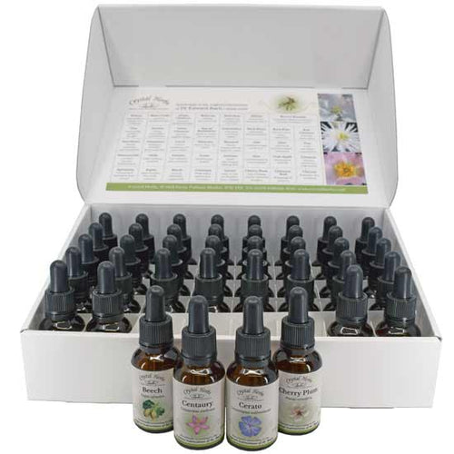 Complete Set of Bach Flower Remedies – a comprehensive natural toolkit to support emotional wellbeing, balance, and personal growth.