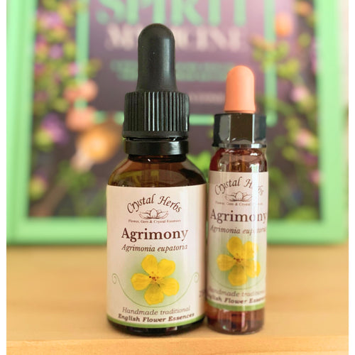 Agrimony Bach Flower Essence – a supportive remedy for inner turmoil hidden behind a cheerful front, encouraging emotional honesty, peace, and authentic self-expression.
