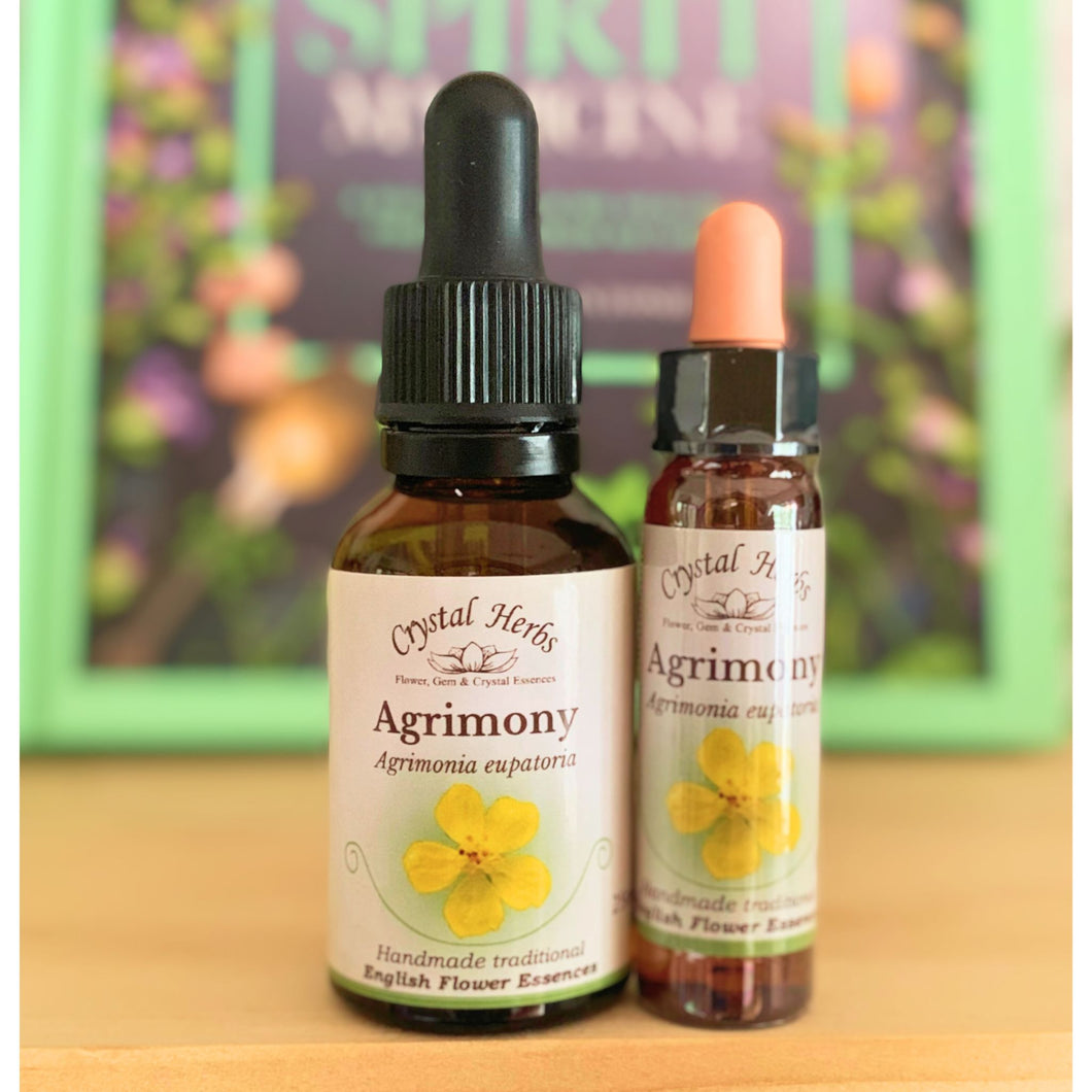 Agrimony Bach Flower Essence – a supportive remedy for inner turmoil hidden behind a cheerful front, encouraging emotional honesty, peace, and authentic self-expression.