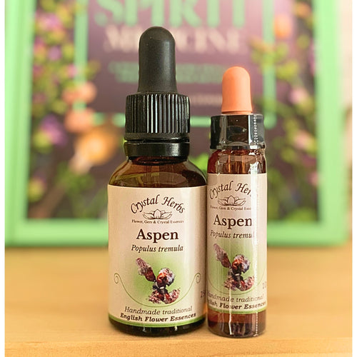 Aspen Bach Flower Essence – a gentle remedy for vague fears and anxiety, promoting inner peace, calm confidence, and a sense of safety in the unknown.