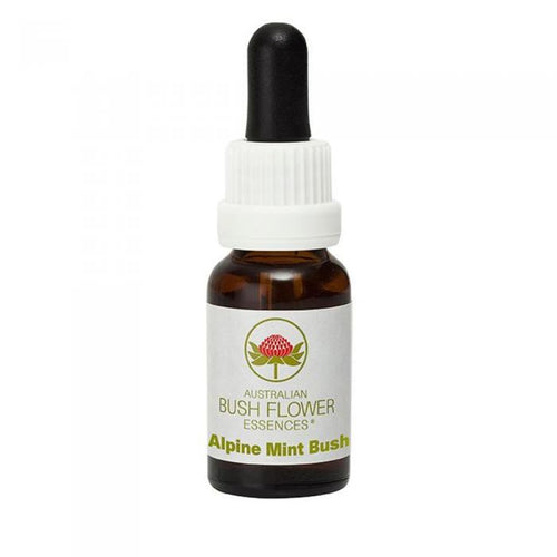 Alpine Mint Bush Australian Bush Flower Essence from Align Your Vibe – a natural remedy for emotional exhaustion, burnout and restoring inner joy and energy.