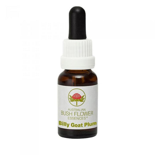 Billy Goat Plum Australian Bush Flower Essence from Align Your Vibe – a natural remedy for body confidence, self-acceptance and emotional healing.