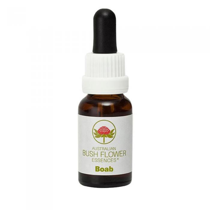 Boab Australian Bush Flower Essence from Align Your Vibe – a natural remedy for clearing generational trauma and inherited emotional patterns.