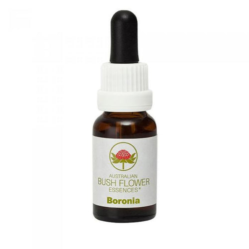 Boronia Australian Bush Flower Essence from Align Your Vibe – a natural remedy for obsessive thoughts, emotional release and mental clarity.