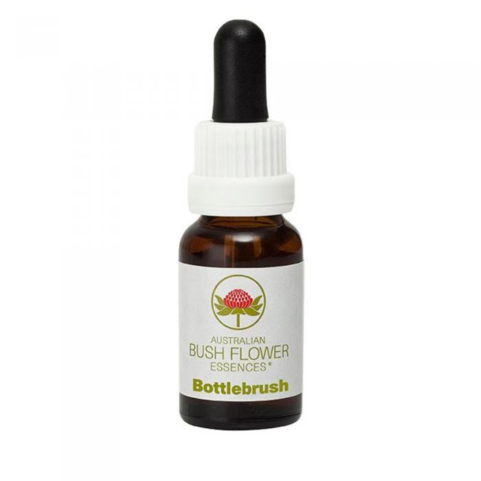 Bottlebrush Australian Bush Flower Essence from Align Your Vibe – a natural remedy for emotional release, life transitions and letting go.