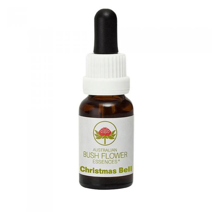 Christmas Bell Australian Bush Flower Essence from Align Your Vibe – a natural remedy for manifestation, clarity, and grounded follow-through.
