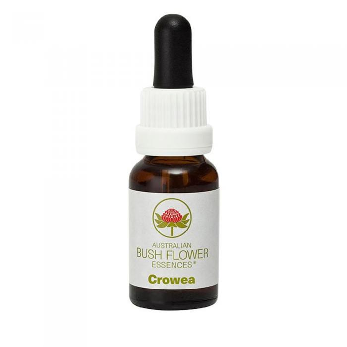 Crowea Australian Bush Flower Essence from Align Your Vibe – a natural remedy for anxiety, emotional balance and inner peace.