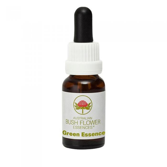 Green Essence Australian Bush Flower Essence from Align Your Vibe – a natural remedy for gut balance, energetic cleansing and emotional wellbeing