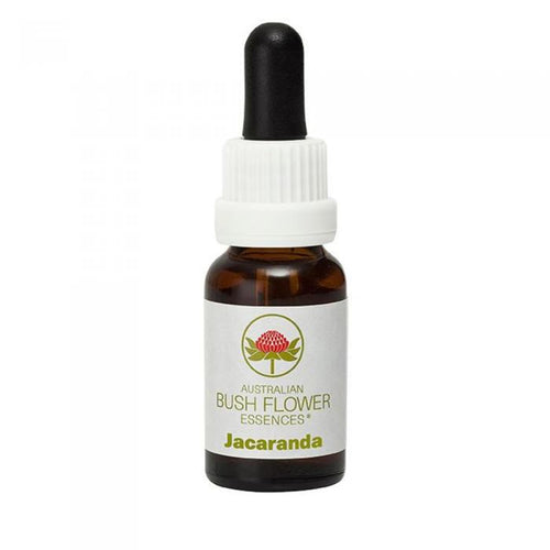 Jacaranda Australian Bush Flower Essence from Align Your Vibe – a natural remedy for focus, mental clarity, and confident decision-making