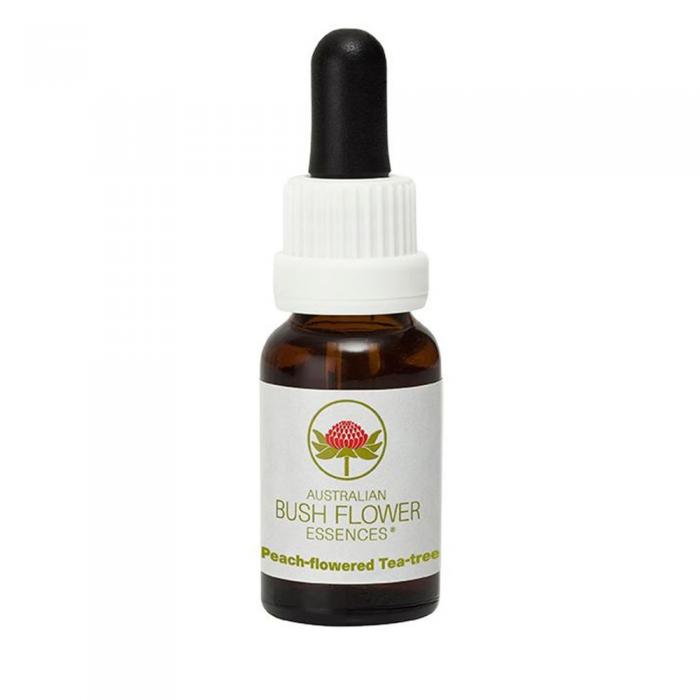 Peach-Flowered Tea-Tree Australian Bush Flower Essence from Align Your Vibe – a natural remedy for emotional balance, commitment and sustained enthusiasm.