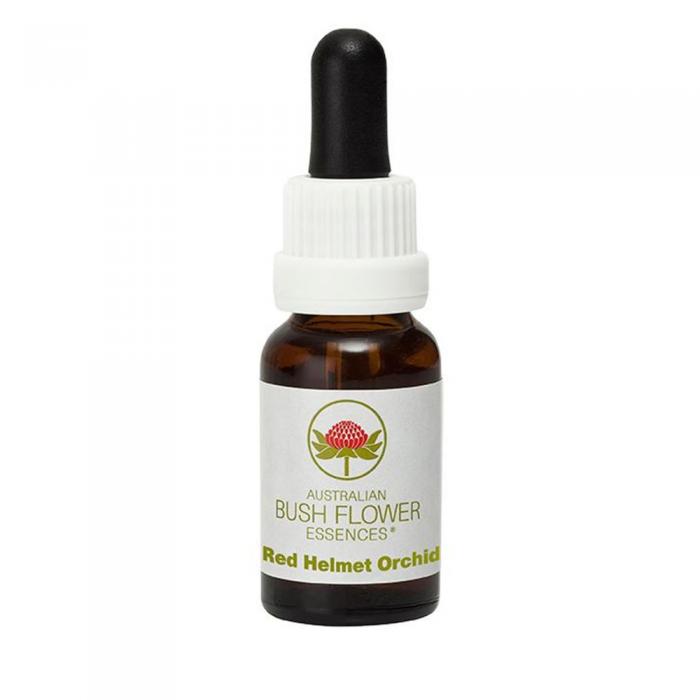 Red Helmet Orchid Australian Bush Flower Essence from Align Your Vibe – a natural remedy for father healing, respectful authority and masculine balance.