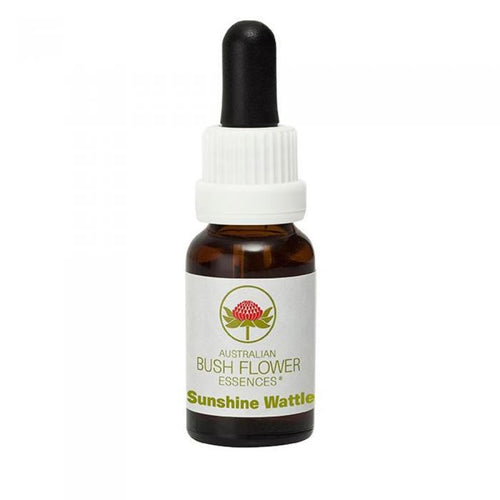Sunshine Wattle Australian Bush Flower Essence from Align Your Vibe – a natural remedy for optimism, joy, and letting go of past difficulties.