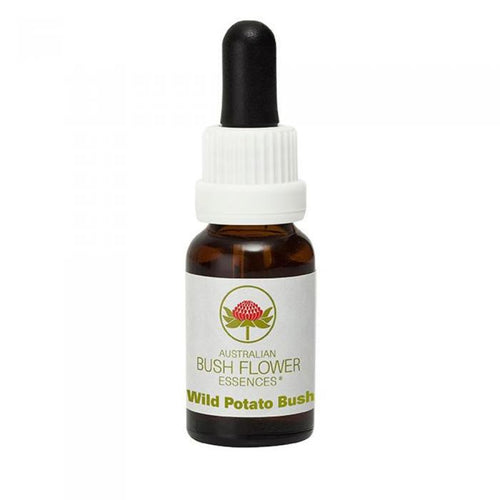 Wild Potato Bush Australian Bush Flower Essence from Align Your Vibe – a natural remedy for physical frustration, energy renewal and moving forward in life.