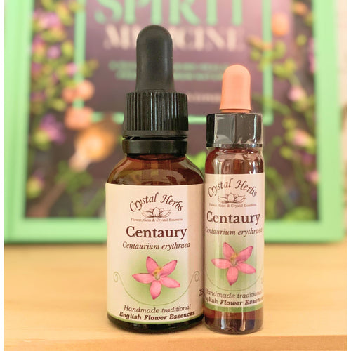 Centaury Bach Flower Essence – a natural remedy for people-pleasing tendencies and weak boundaries, supporting self-empowerment and assertiveness.