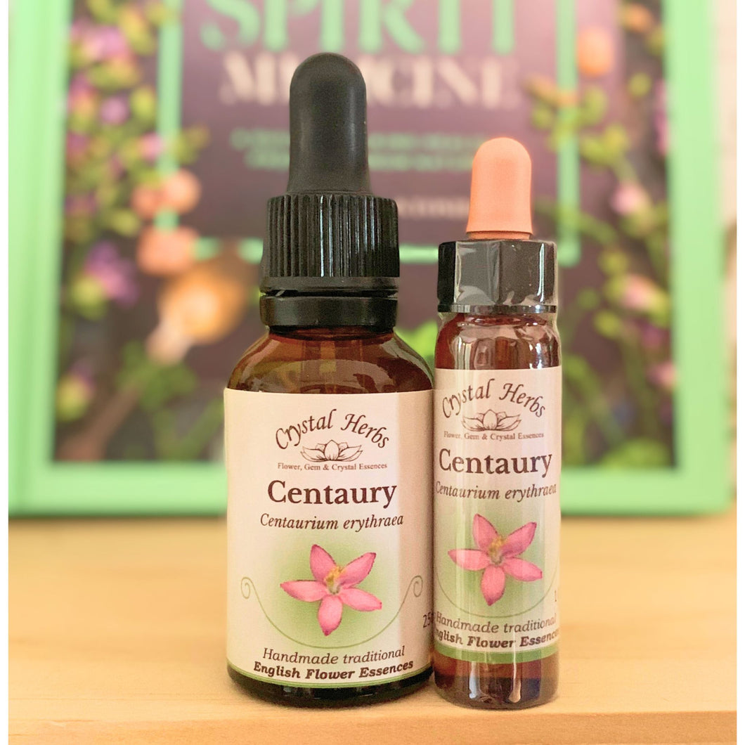 Centaury Bach Flower Essence – a natural remedy for people-pleasing tendencies and weak boundaries, supporting self-empowerment and assertiveness.