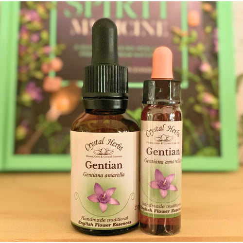 Gentian Bach Flower Essence – a natural remedy to support perseverance, optimism, and renewed faith during setbacks or discouragement.