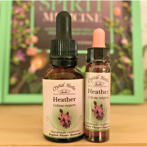 Heather Bach Flower Essence – a gentle natural remedy for self-absorption, loneliness and overtalking, supporting empathy and deeper connection with others.