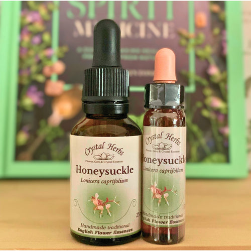 Honeysuckle Bach Flower Essence – a gentle remedy for letting go of the past, supporting emotional healing, acceptance, and living in the present moment.