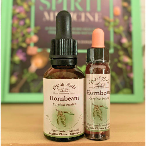 Hornbeam Bach Flower Essence – a natural remedy for mental fatigue, procrastination and lack of motivation. Available online in Australia and New Zealand.