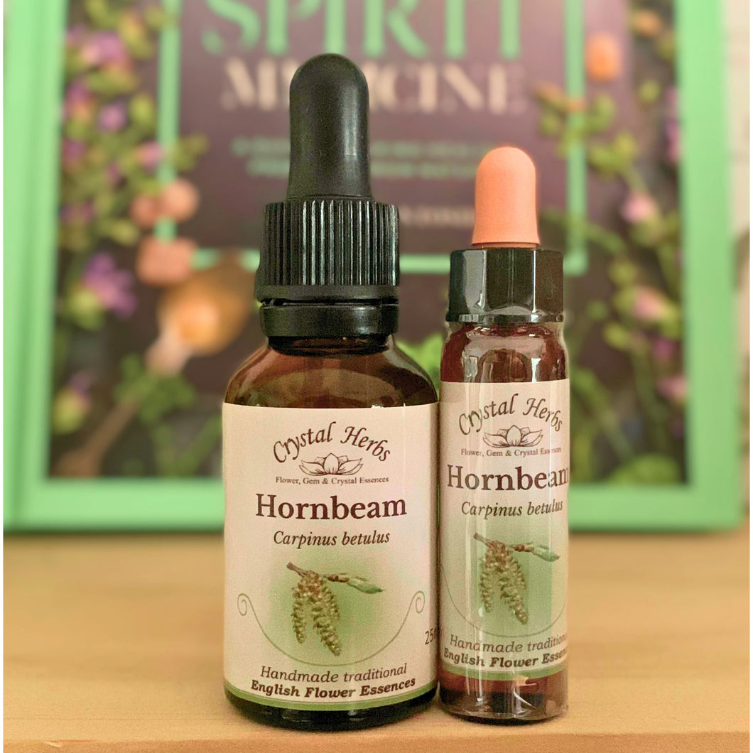 Hornbeam Bach Flower Essence – a natural remedy for mental fatigue, procrastination and lack of motivation. Available online in Australia and New Zealand.