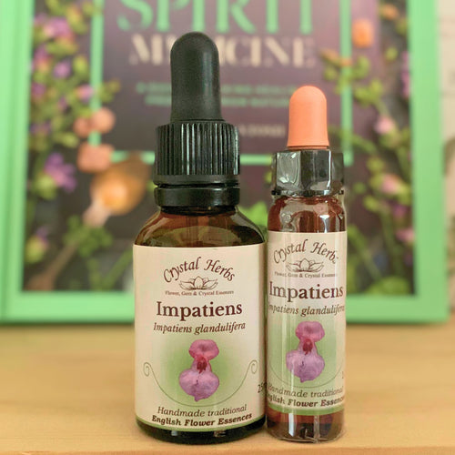 Impatiens Bach Flower Essence – a gentle remedy for impatience, irritability and tension, available online in Australia and New Zealand from Align Your Vibe.
