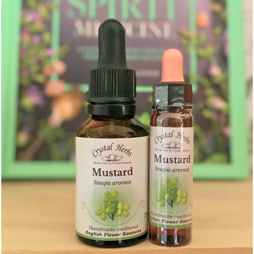 Mustard Bach Flower Essence from Align Your Vibe – a natural remedy to lift deep sadness and support emotional clarity and balance for those in Australia and beyond.