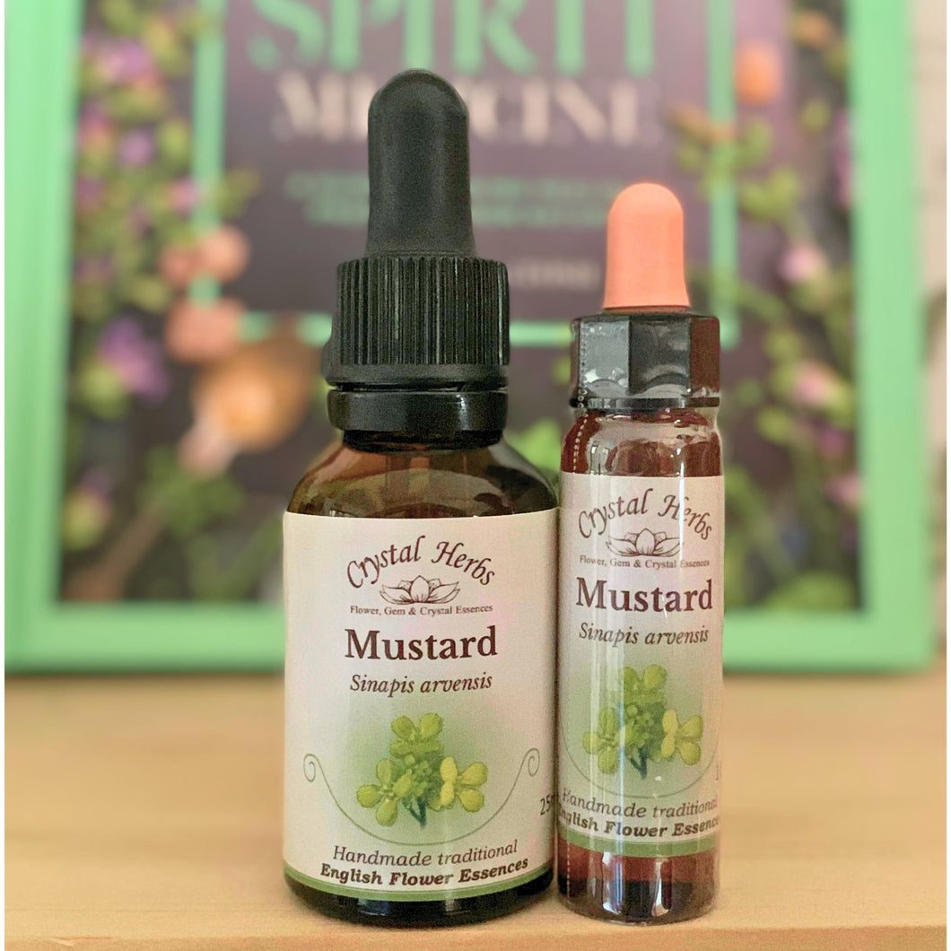 Mustard Bach Flower Essence from Align Your Vibe – a natural remedy to lift deep sadness and support emotional clarity and balance for those in Australia and beyond.