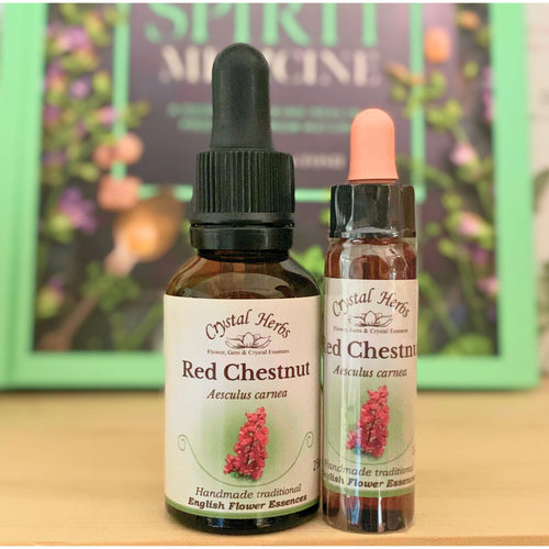 Red Chestnut Bach Flower Essence from Align Your Vibe – a natural remedy for worry and over-concern for others, helping restore calm, trust and emotional balance in Australia.