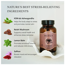Load image into Gallery viewer, Ritua Stress natural stress support supplement capsules in bottle – adaptogenic blend with Ashwagandha, Reishi Mushroom, Lemon Balm and Saffron for calm and balance