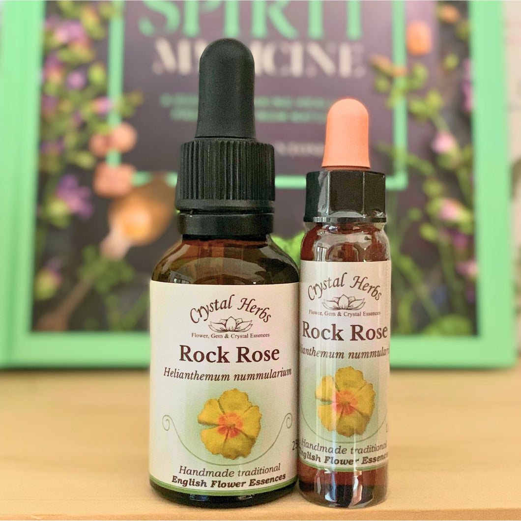 Rock Rose Bach Flower Essence from Align Your Vibe – a natural remedy for extreme fear, panic, and regaining courage in moments of crisis. Available online in Australia.