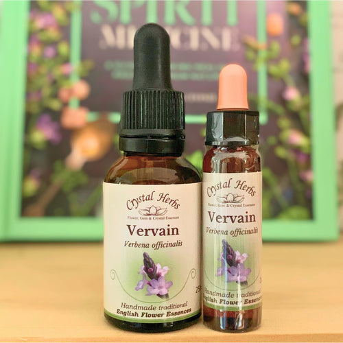 Vervain Flower Essence from Align Your Vibe – a natural remedy for over-enthusiasm, tension, and restoring balance, calm and emotional flexibility.