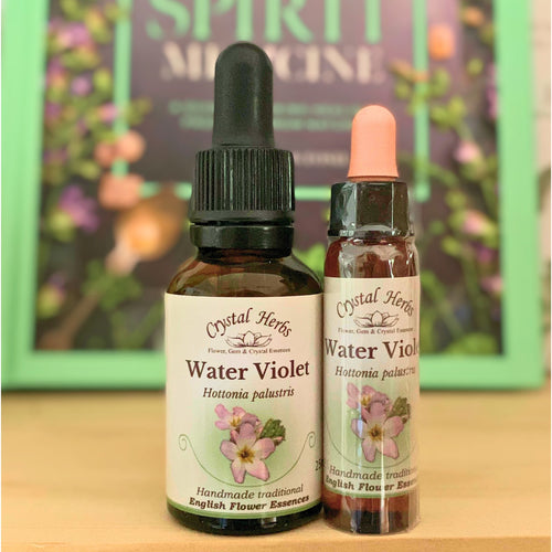 Water Violet Flower Essence from Align Your Vibe – a natural remedy for emotional isolation, encouraging connection, openness and gentle self-expression.