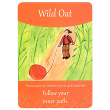Load image into Gallery viewer, Wild Oat Bach Flower Essence - From Loss of Direction to Life Purpose - Follow Your Inner Path
