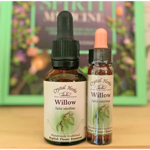 Willow Bach Flower Essence from Align Your Vibe – a natural remedy for resentment, bitterness and restoring emotional balance and a positive outlook.